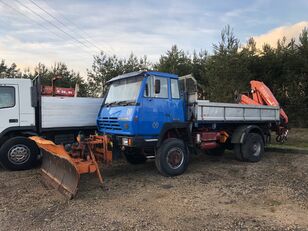 Steyr 4x4 19S 310KM  dump truck