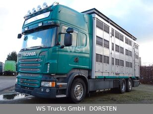 Scania R 440 Topline KABA 3 Stock Hubdach livestock truck