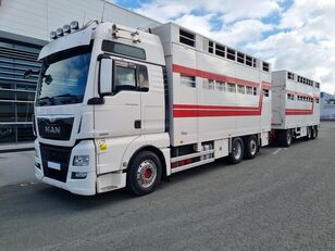 MAN TGX 26.560 livestock truck + livestock trailer
