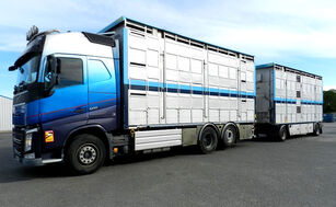 VOLVO FH 500 livestock truck + livestock trailer